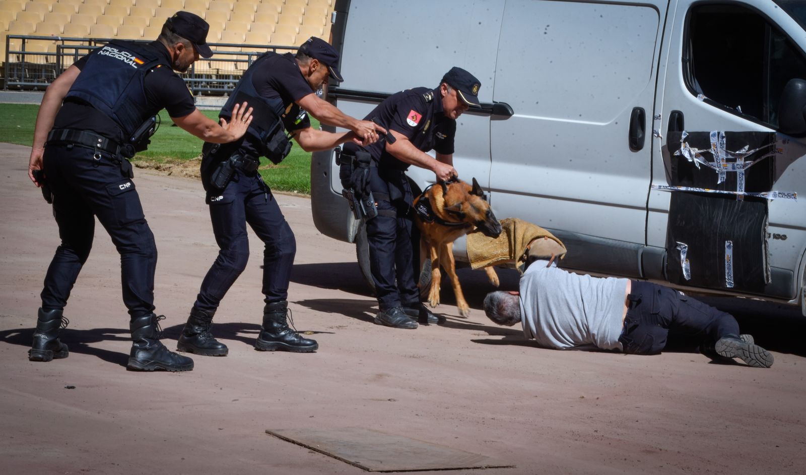 La exhibición policial con participación de la Unidad Aérea, Guías Caninos y Caballería, en imágenes