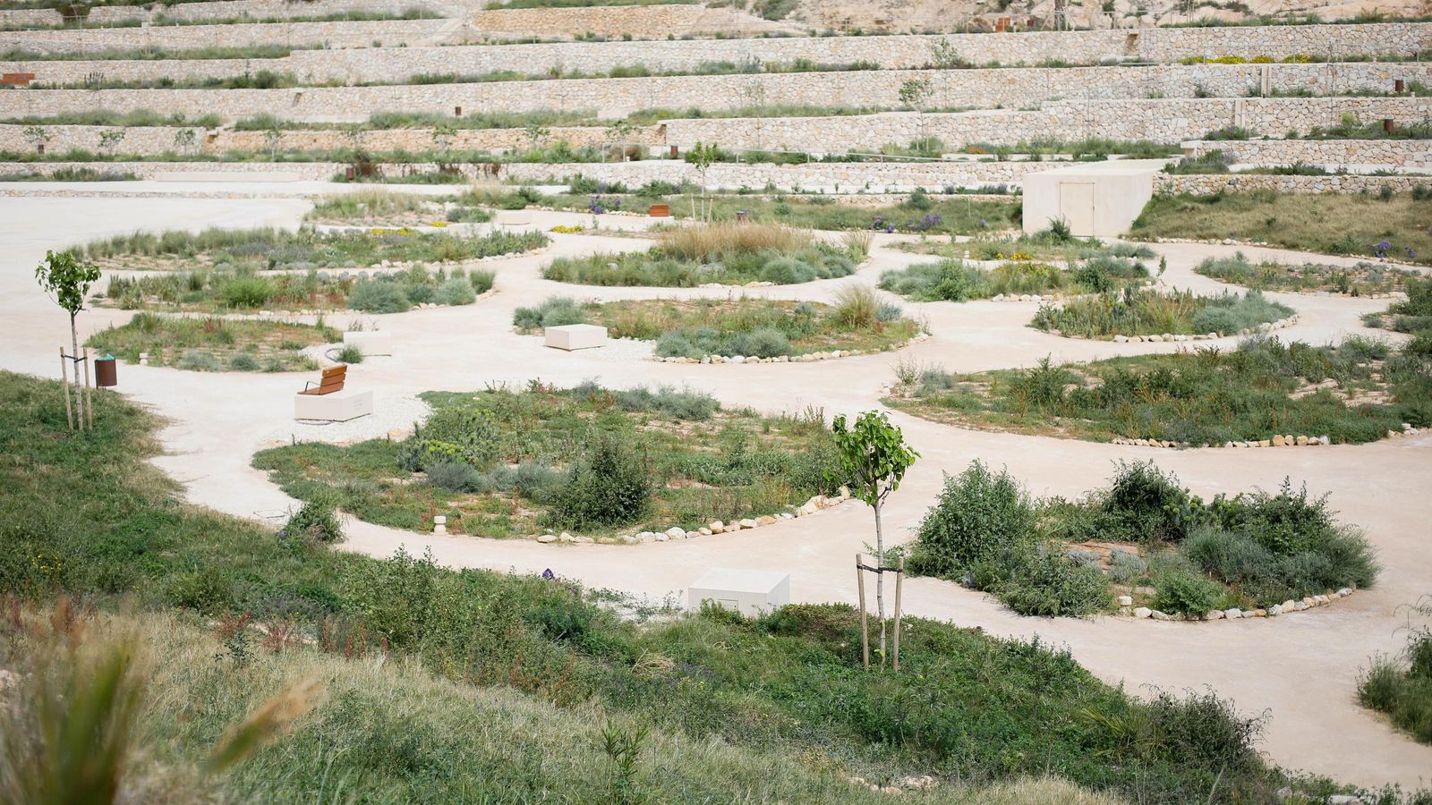 Formas orgánicas circulares y ovaidales abren los caminos peatonales.