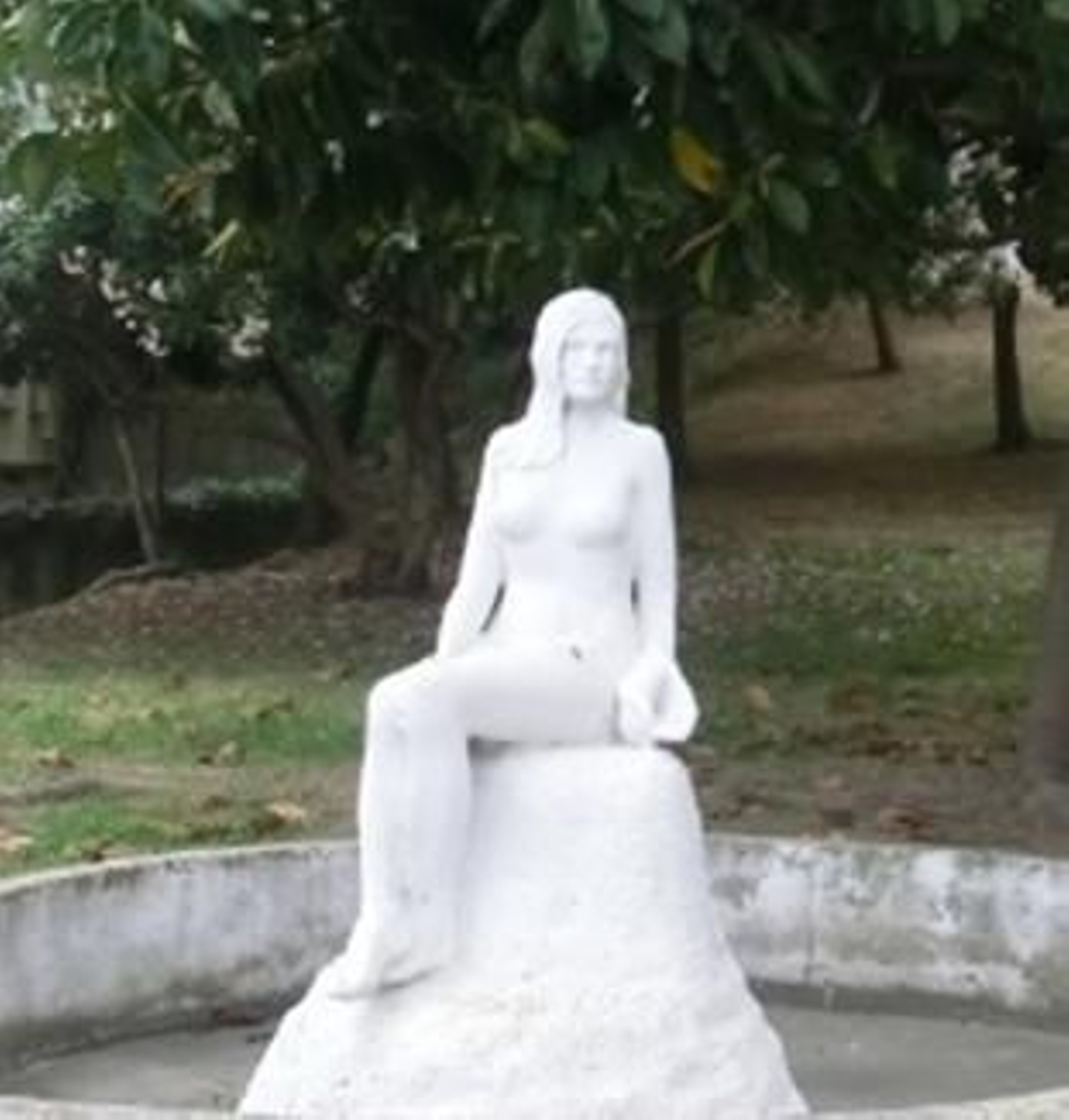 La Caracola, obra de Carlos Gómez de Avellaneda Martín La Caracola, obra de Carlos Gómez de Avellaneda Martín