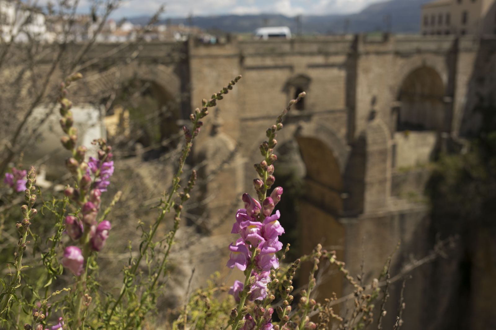 La primavera deja ver su paleta de color