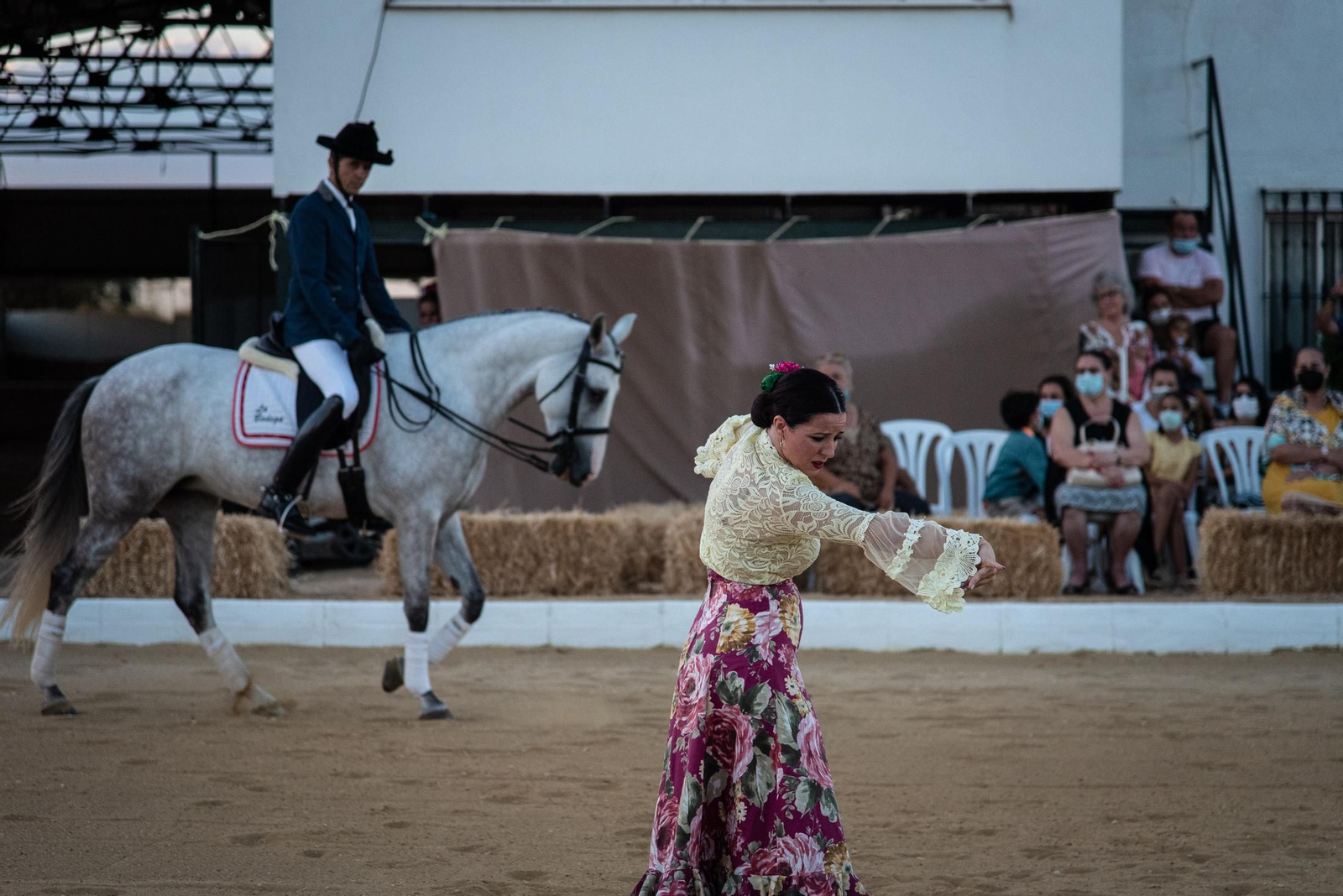 El espectáculo Flamencab en imágenes