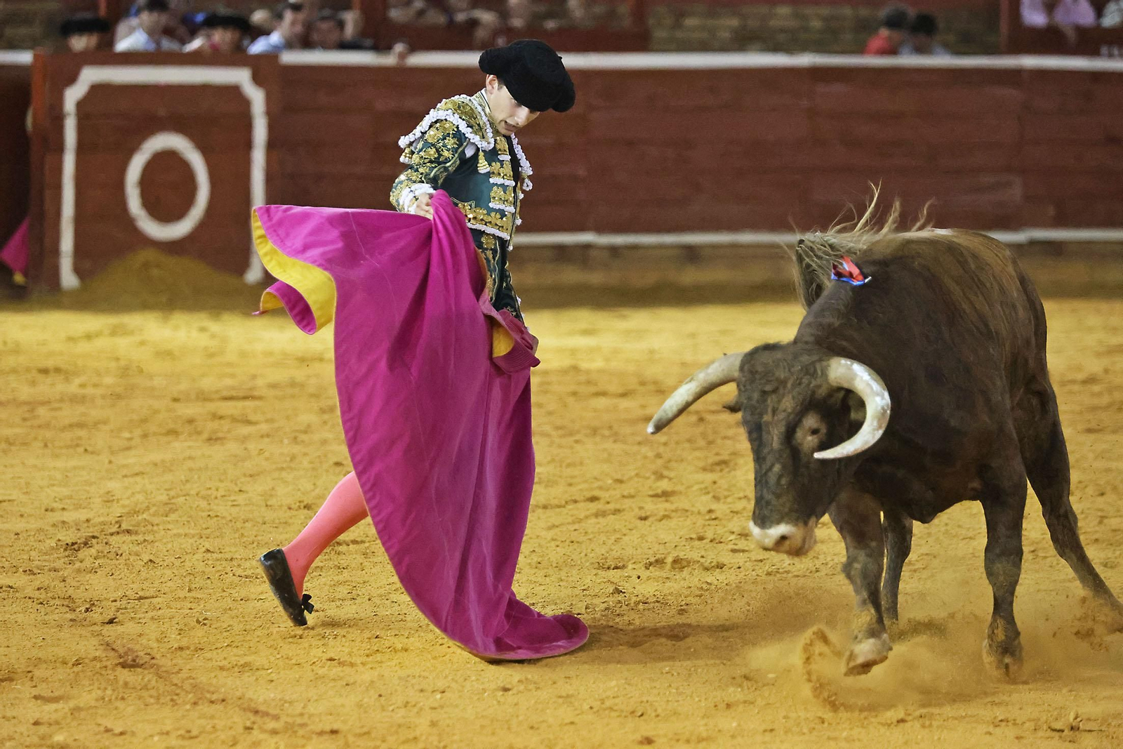 Toros La Merced 2024 Novillada con picadores(