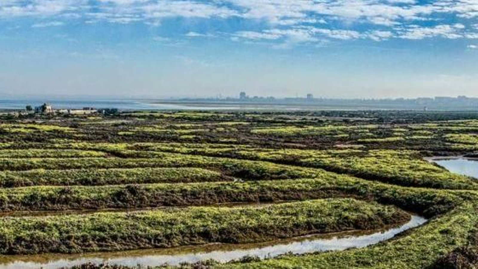 Una vista del Parque Natural Bahía de Cádiz.