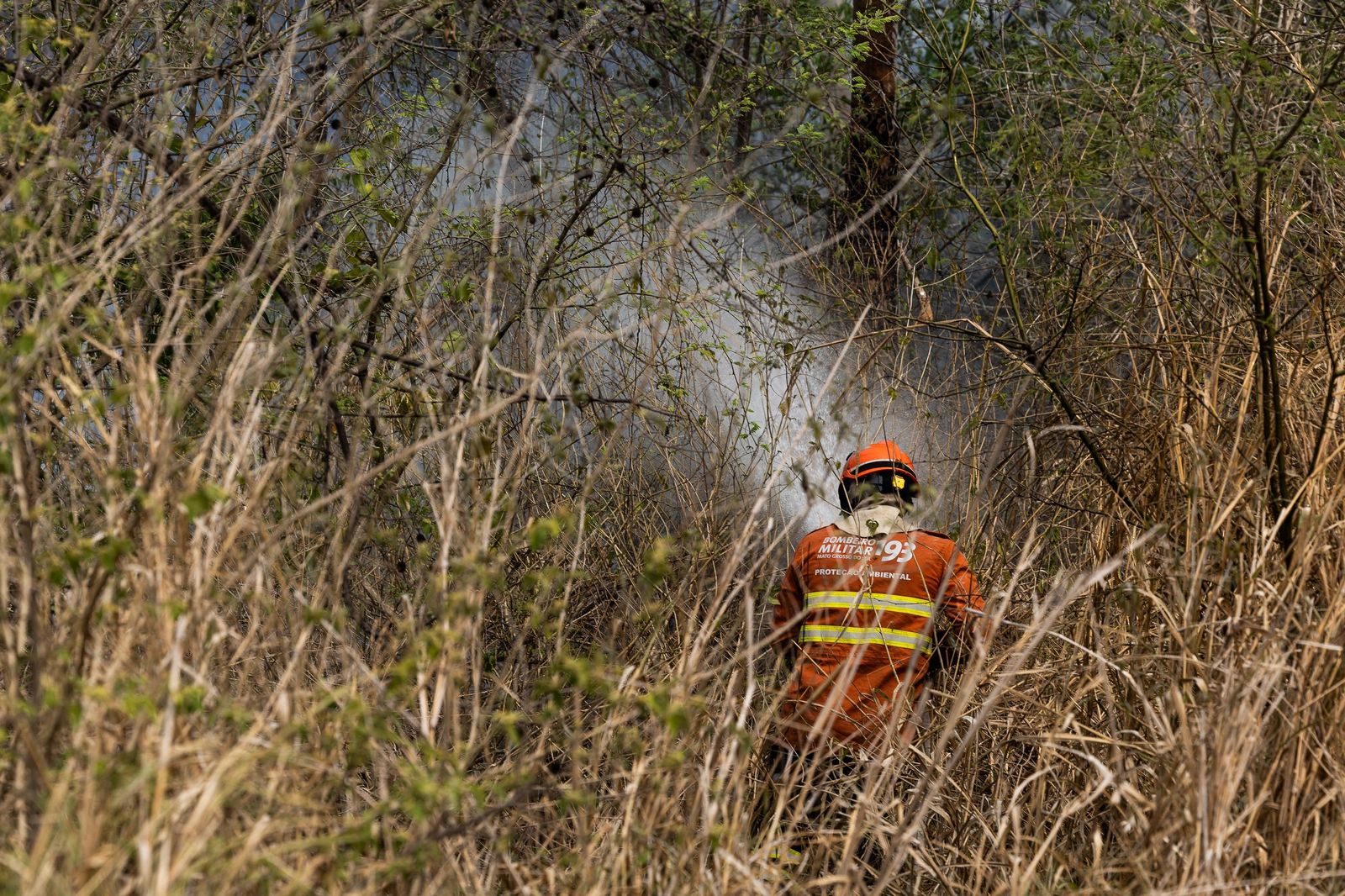 Las llamas convierten en una tumba al aire libre El Pantanal en Brasil