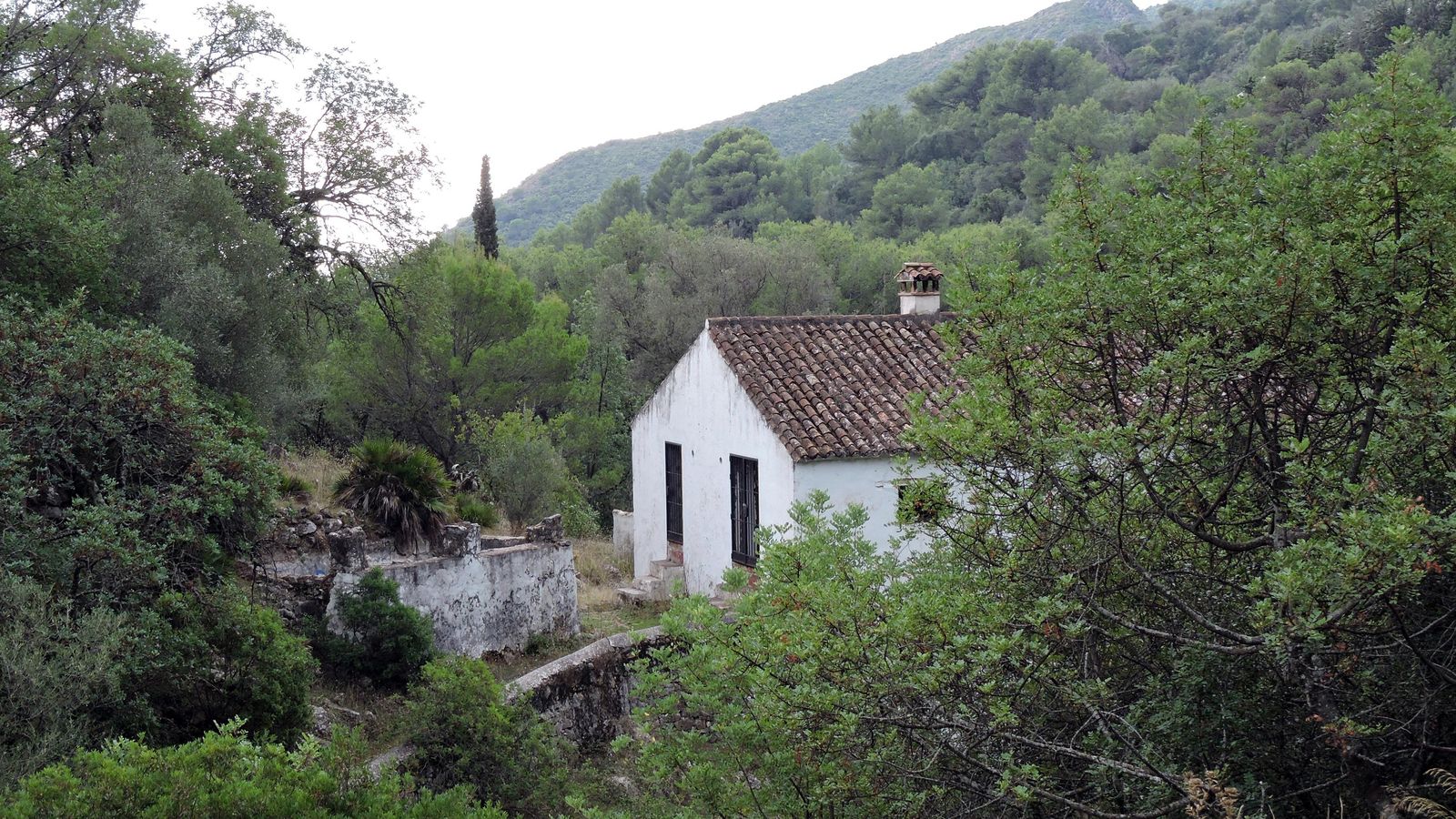 La Casa del Cerezal entre la fronda del bosque mediterráneo. La Casa del Cerezal entre la fronda del bosque mediterráneo.