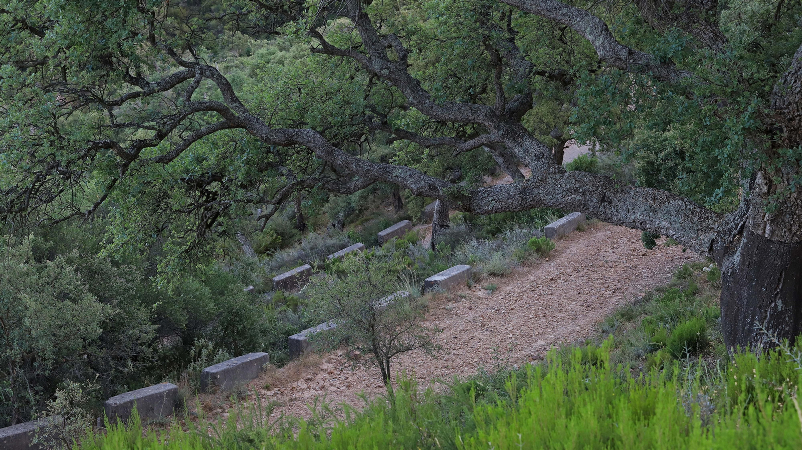 Las mejores fotos de la Senda de los Prisioneros en Algeciras