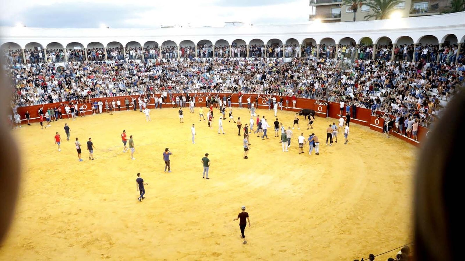 Las fotos del Toro del Aguardiente de San Roque