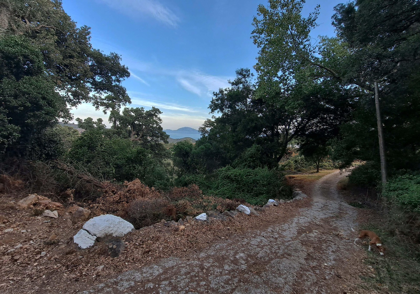 Fotos del sendero del Chorro de Pelayo en Algeciras