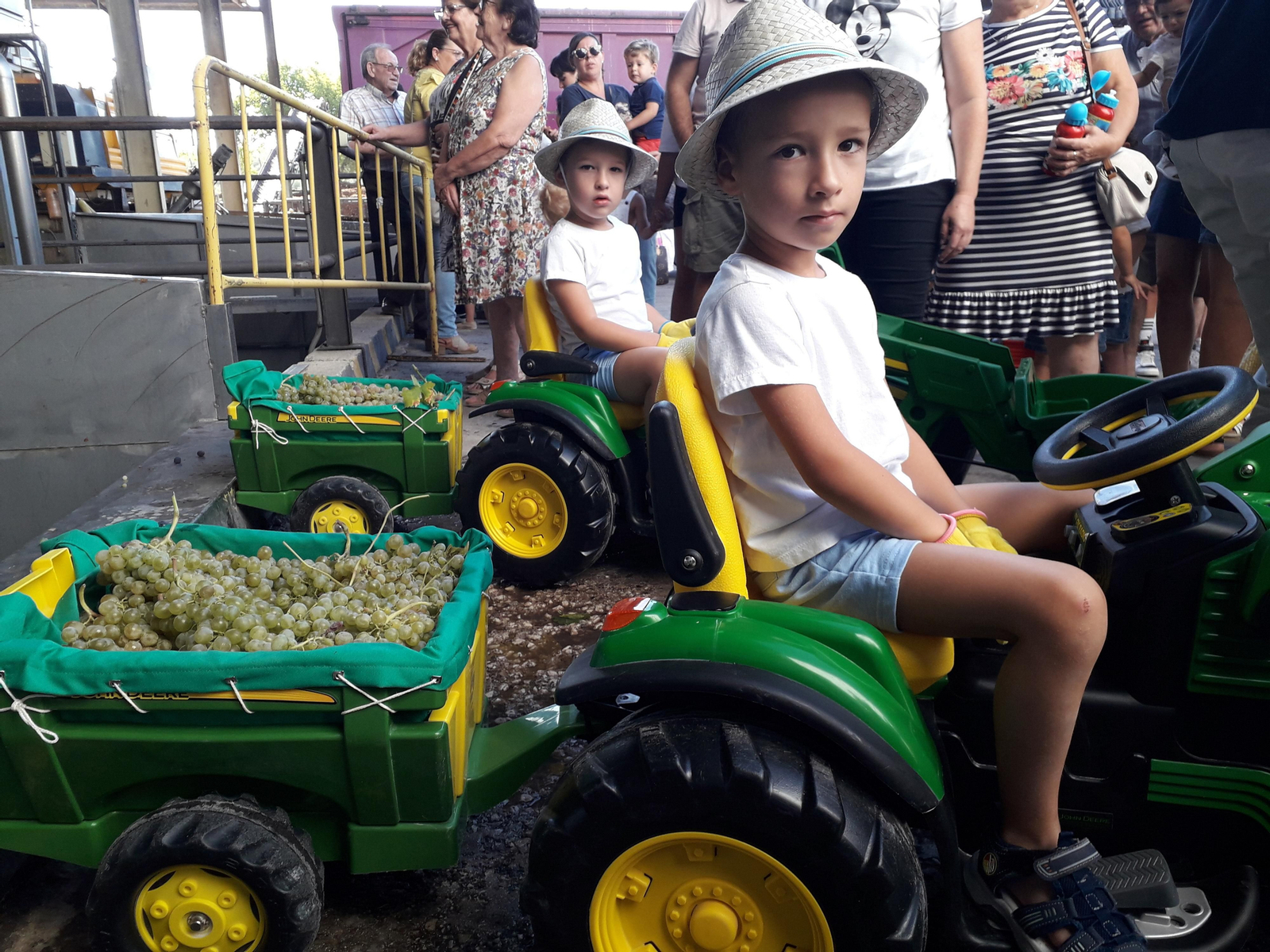 La primera vendimia infantil de Montilla, en imágenes