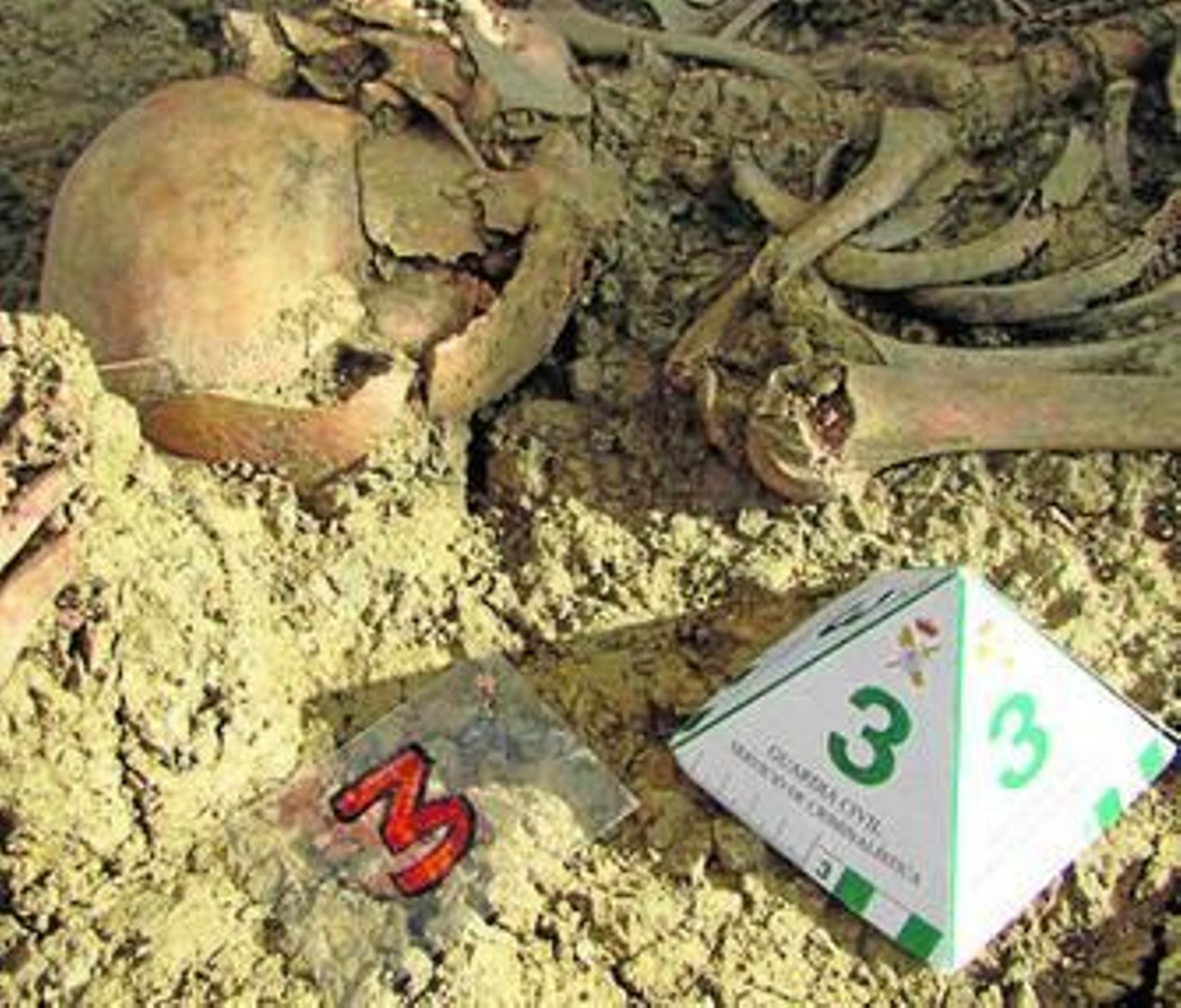 La Guardia Civil señala uno de los restos humanos hallados.