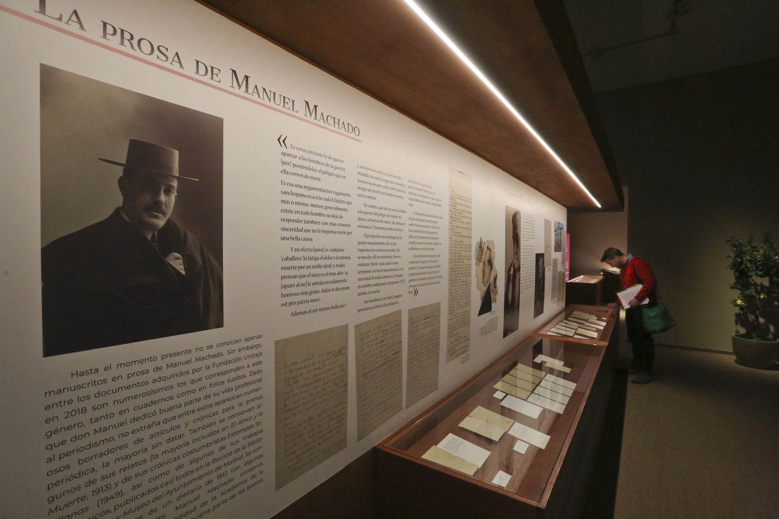 'Los Machado. Fondos de la colección Unicaja'