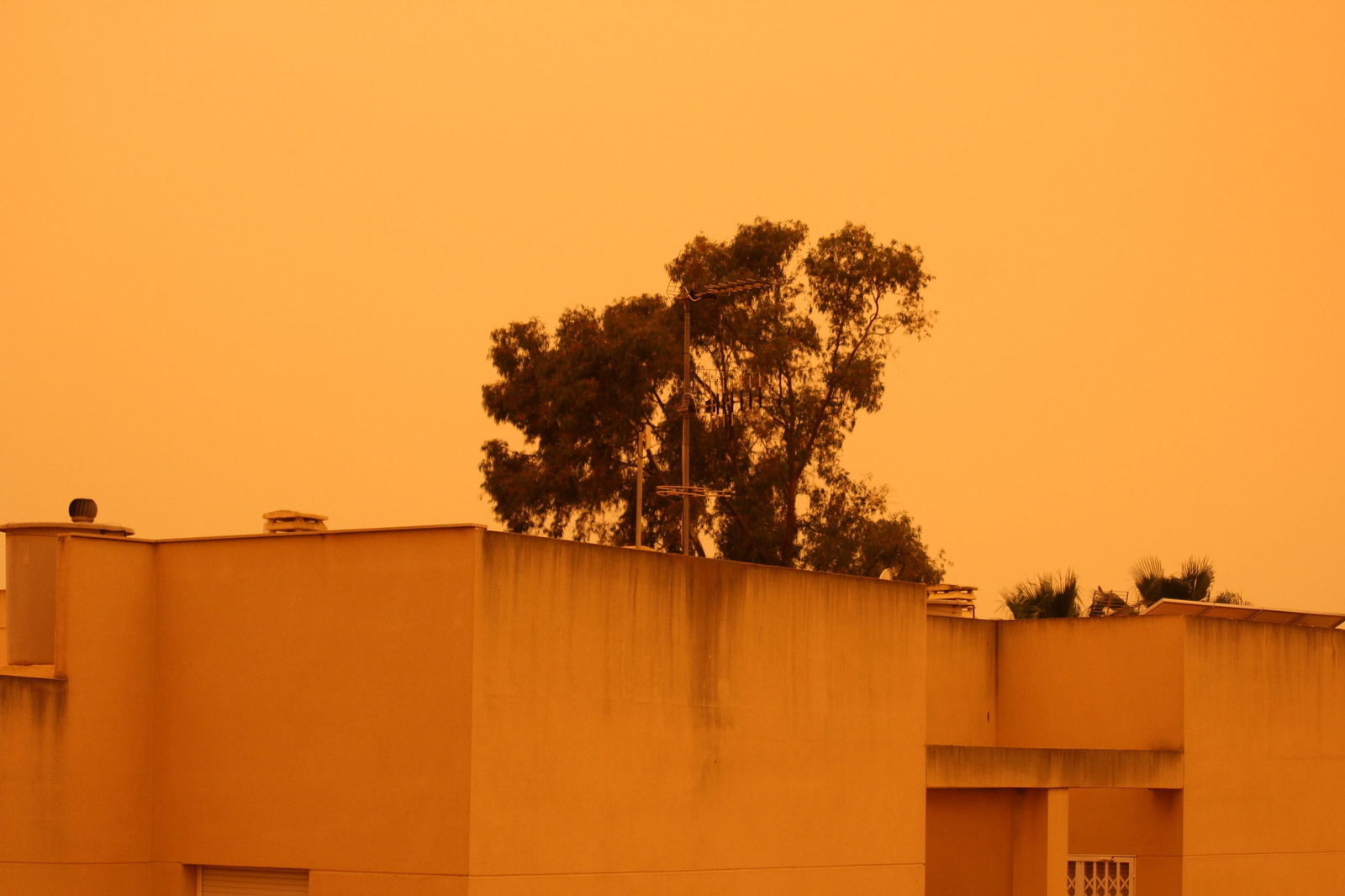 El edificio y el cielo se camuflan: todo amarillo.