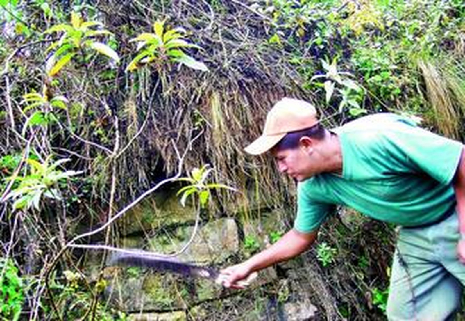 El arqueólogo Wilmer Mondragón retira la maleza de la fortaleza denominada La Torrera.