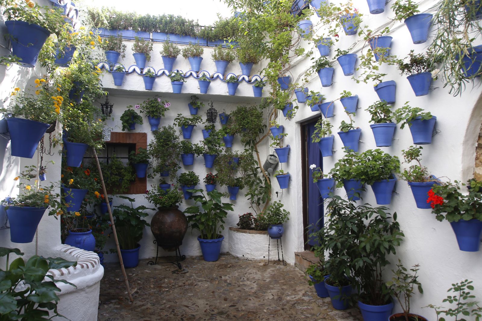 Las fotografías de los Patios de Córdoba en otoño