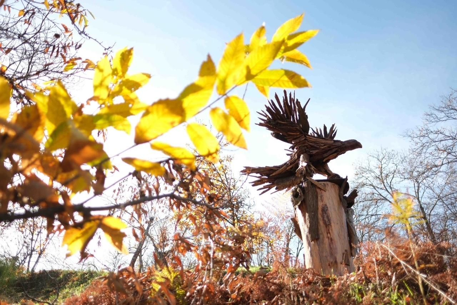 Las esculturas están situadas en mitad de un bosque de castaños.