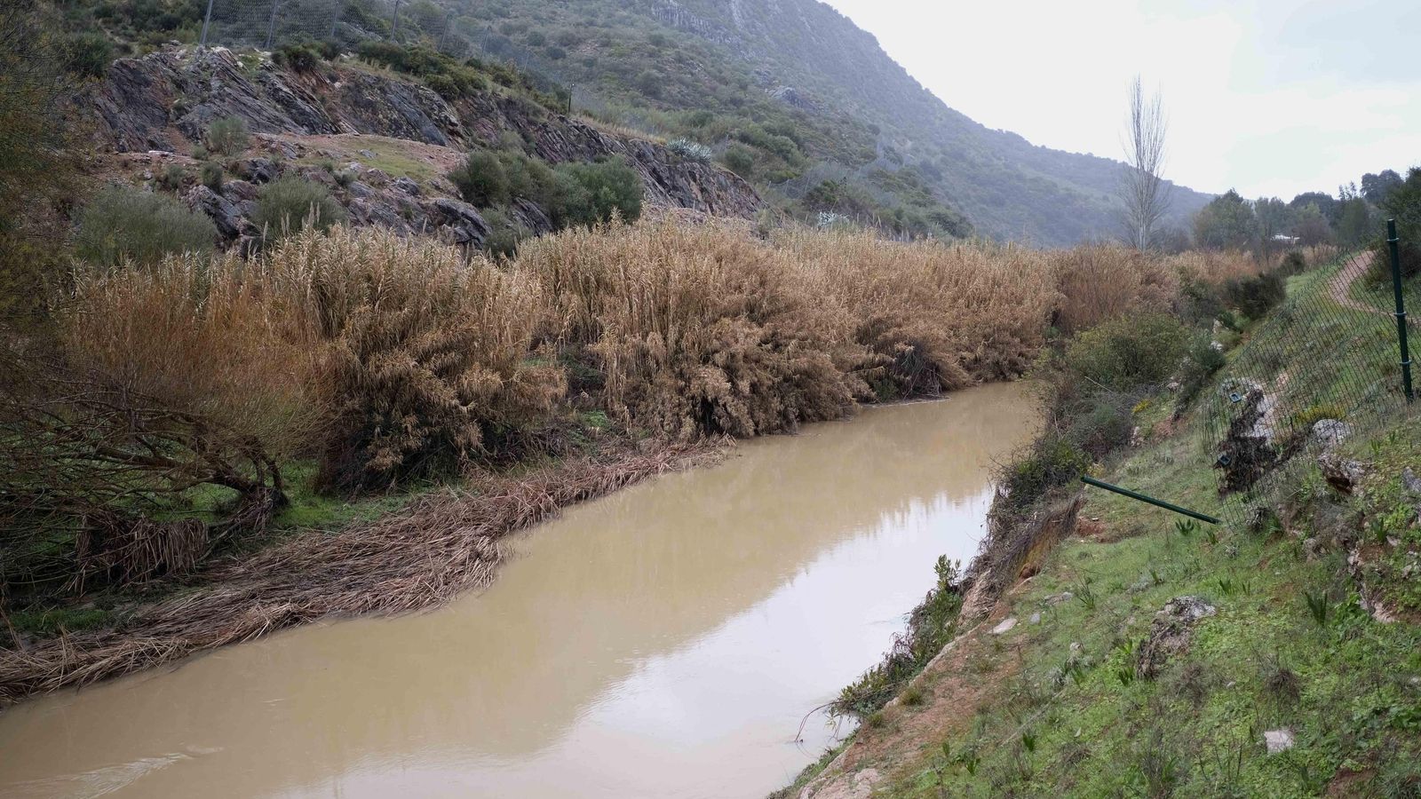 Río Guadiaro vestido de marrón tras las intensas precipitaciones de Filomena. Río Guadiaro vestido de marrón tras las intensas precipitaciones de Filomena.