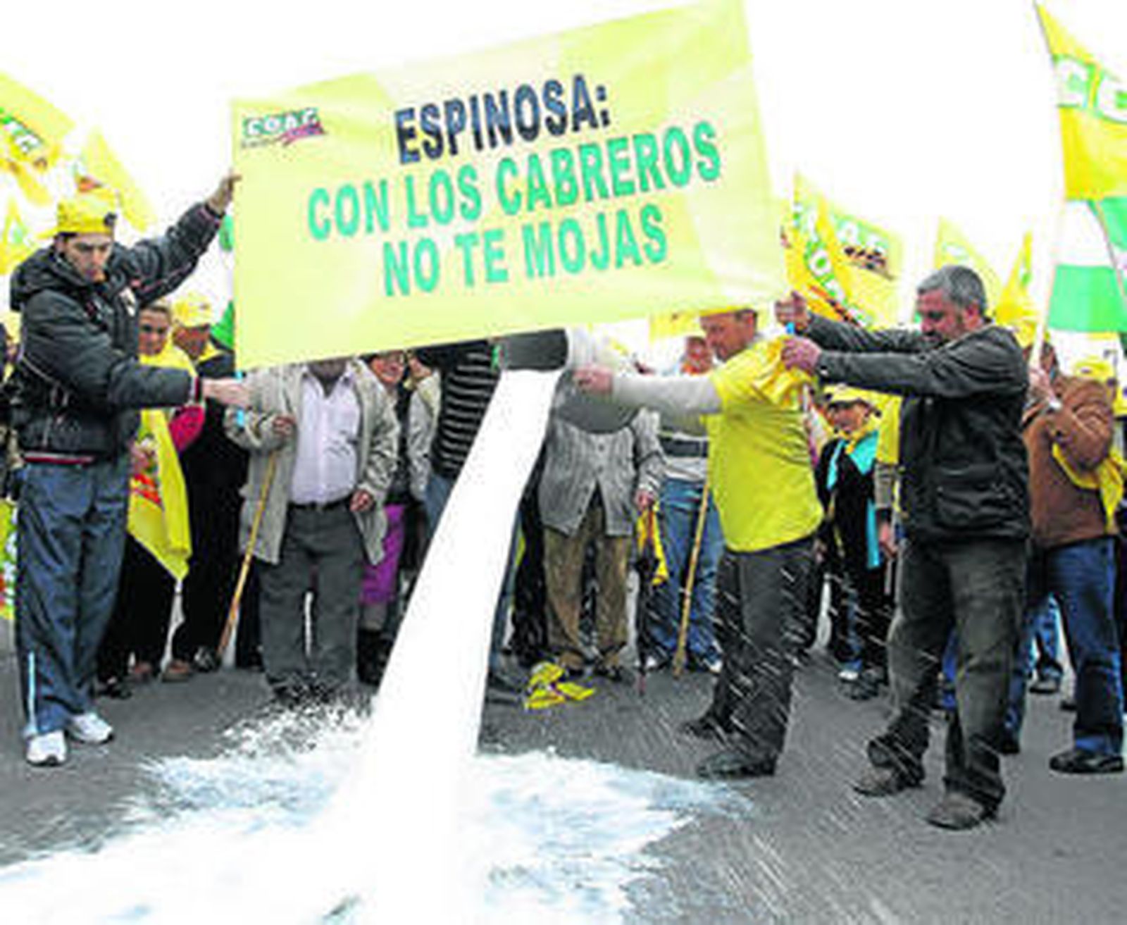 Cientos de cabreros se manifestaron ayer en Albacete y Ciudad Real por los bajos precios de la leche caprina.