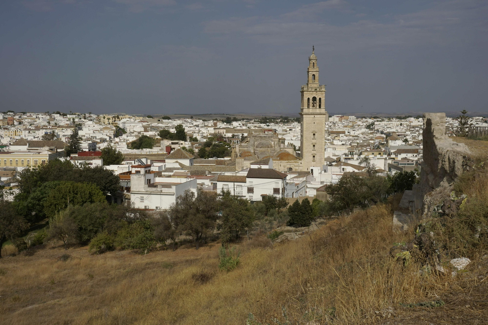 Lebrija, en imágenes