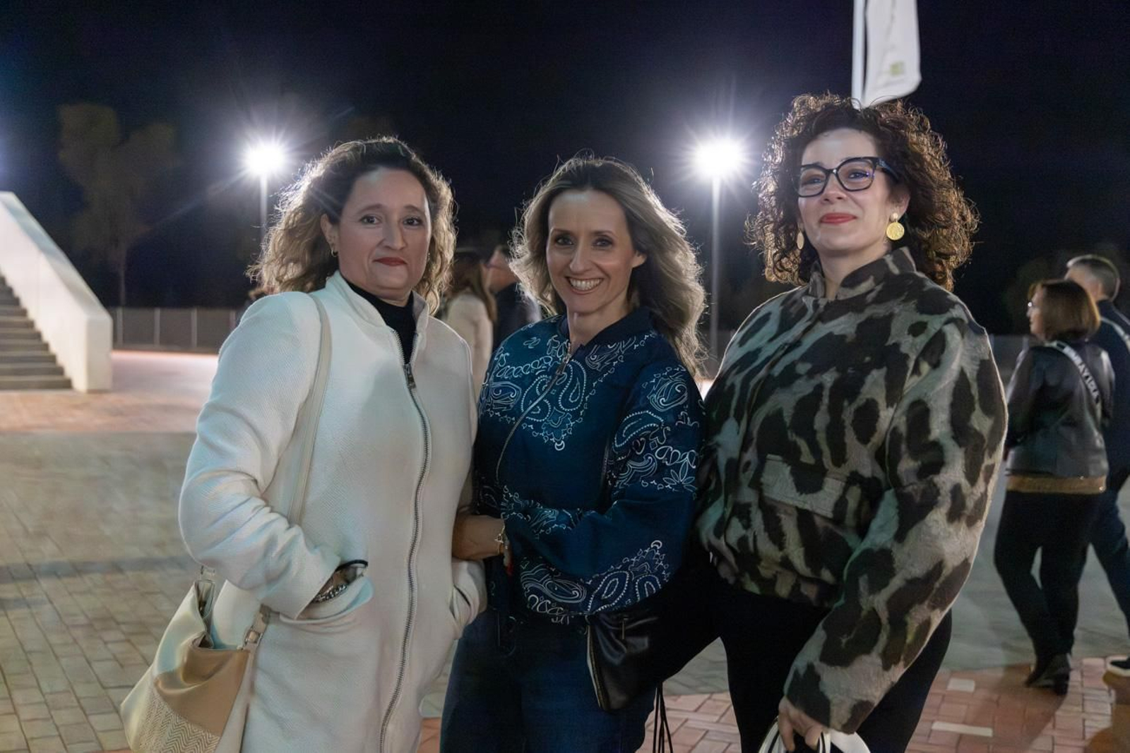 Así se disfruta en Jaén del concierto de Raphael, "Raphaelísimo"