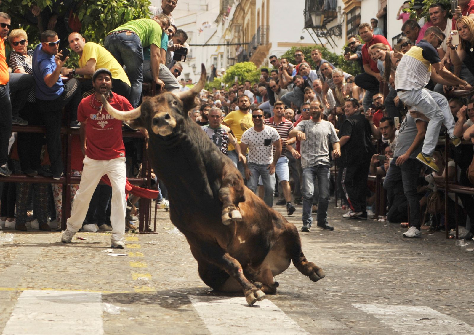 Las imágenes del Toro del Aleluya