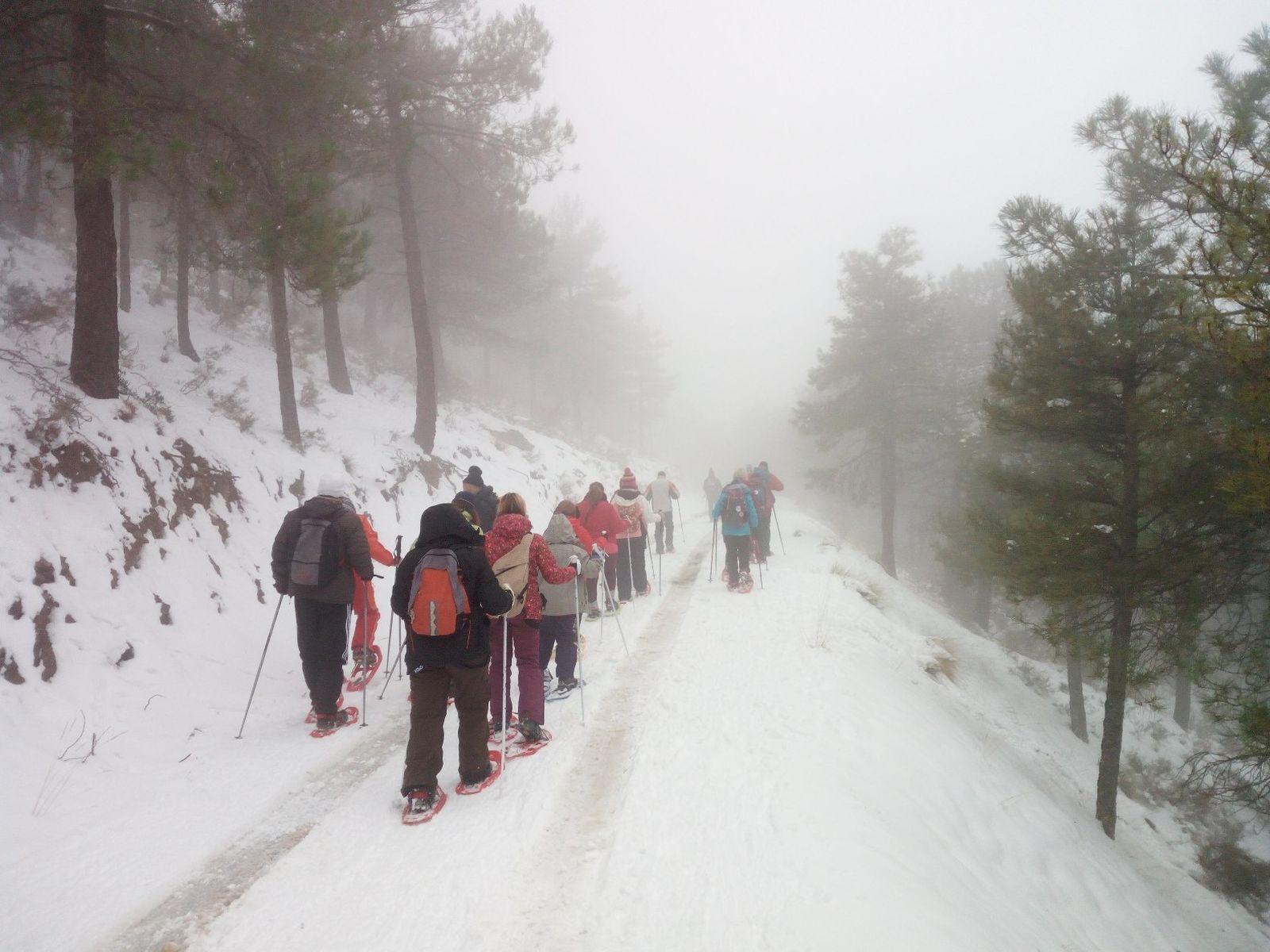 Los participantes, en plena ruta con las raquetas.