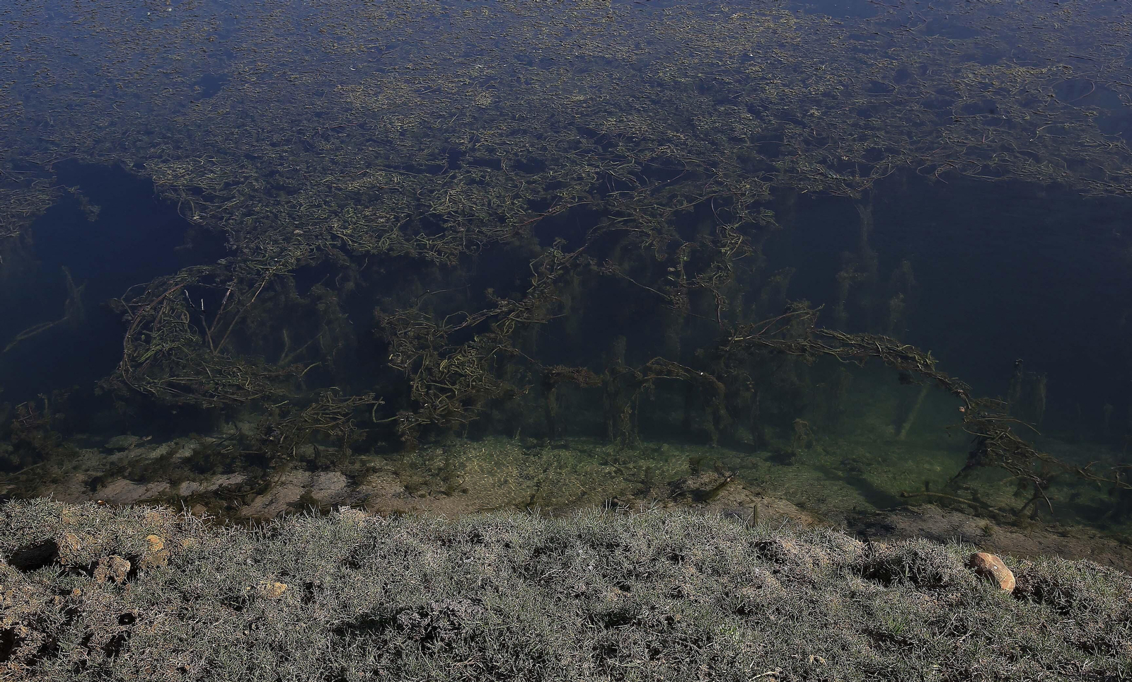 Imágenes del acuífero de la Huerta de Las Pilas en Algeciras