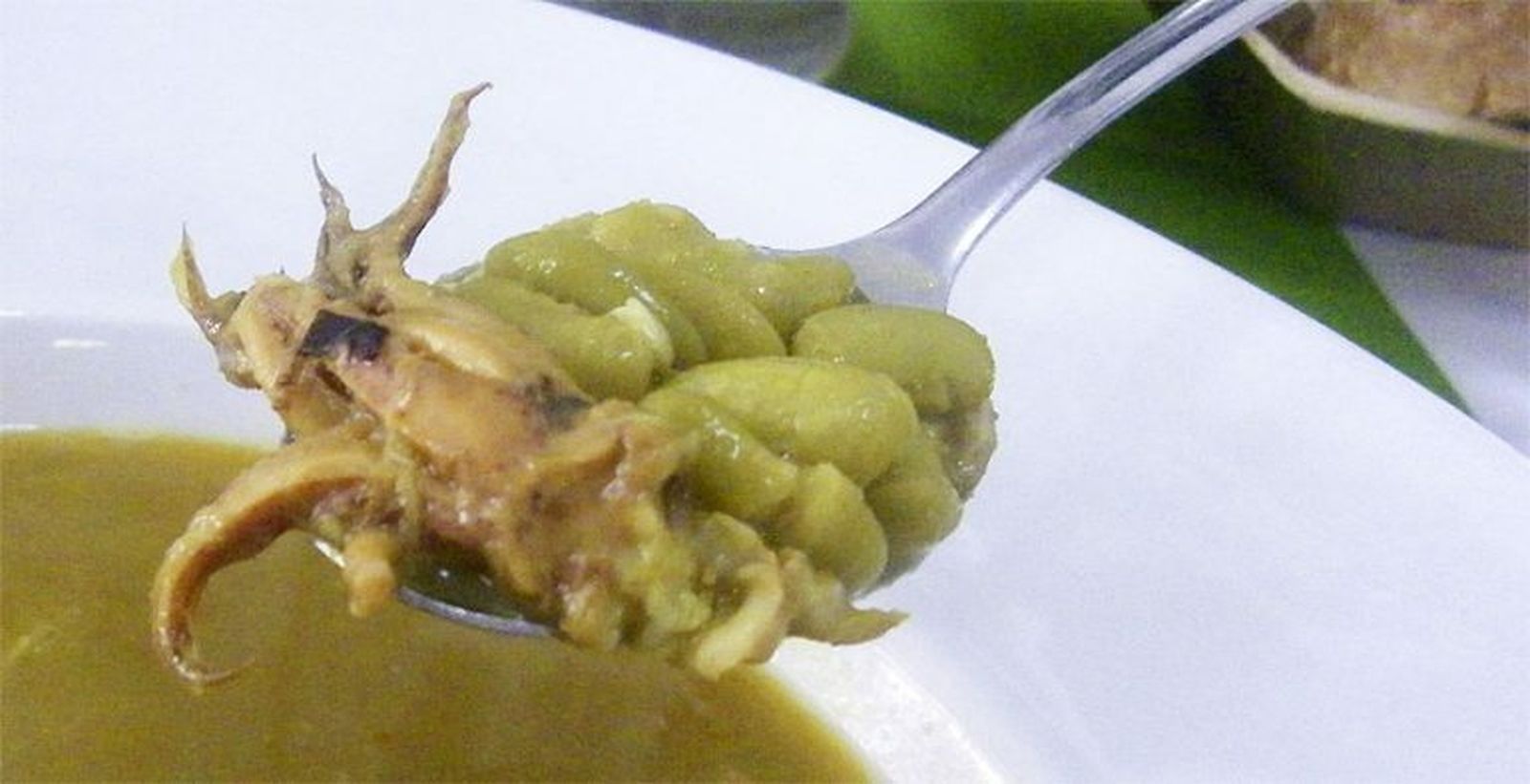 Las verdinas con rape y chipirones