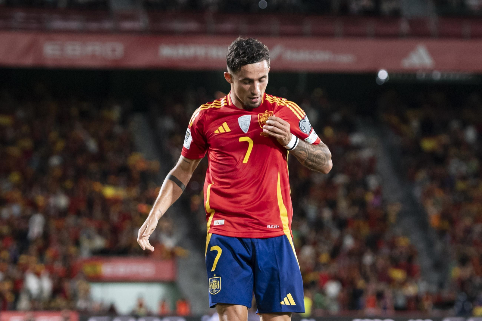 Las mejores fotos del España-Georgia