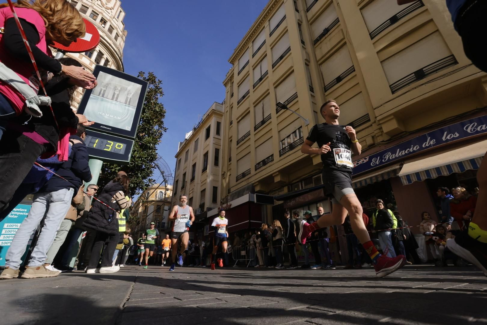 Media Maratón de Córdoba 2023: Las fotos del paso por Cruz Conde y Tendillas Media Maratón de Córdoba 2023: Las fotos del paso por Cruz Conde y Tendillas