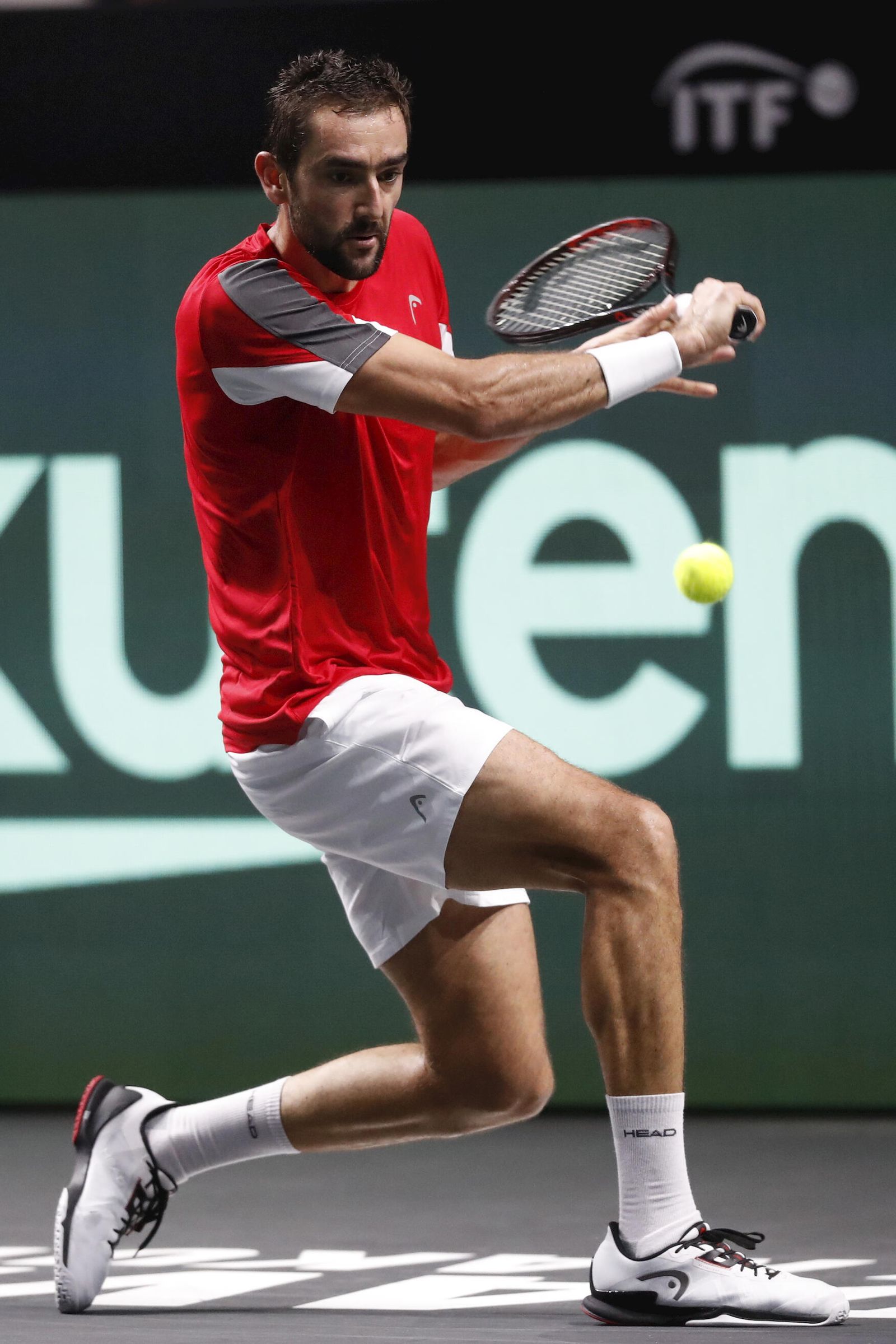 Alex de Miñaur - Marin Cilic de la Copa Davis de Málaga