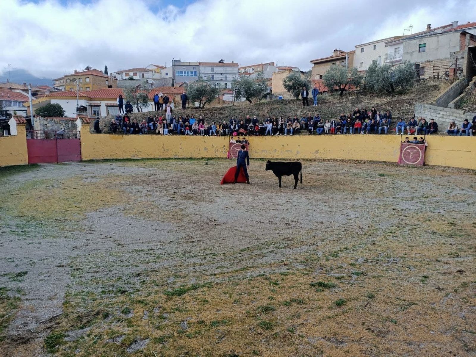 Arrancan los tentaderos de la Fundación del Toro de  Lidia en Granada