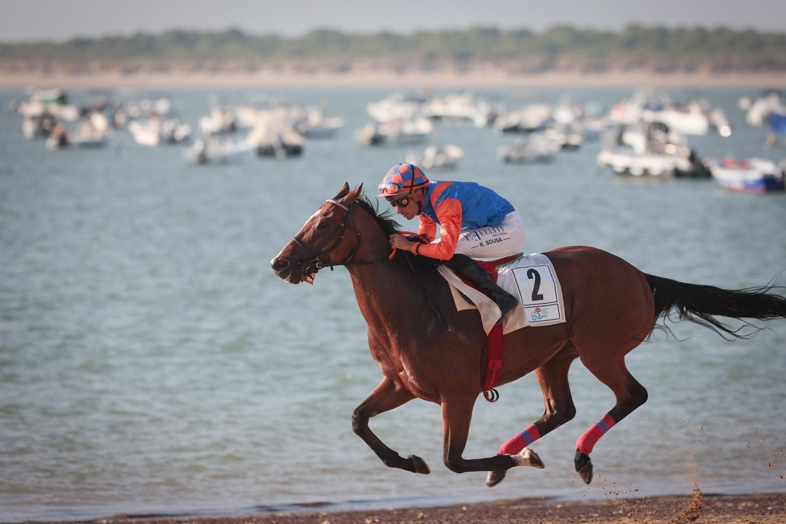 Imágenes de la última jornada del primer ciclo de las Carreras de Caballos de Sanlúcar 2025