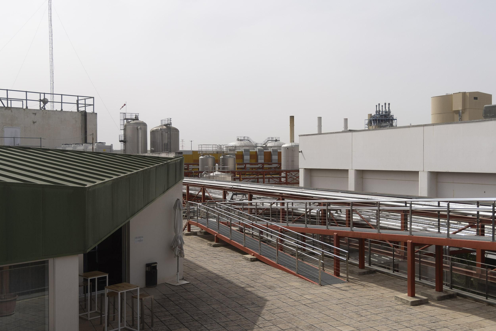Inicio de obras de la planta termosolar de Heineken, en imágenes