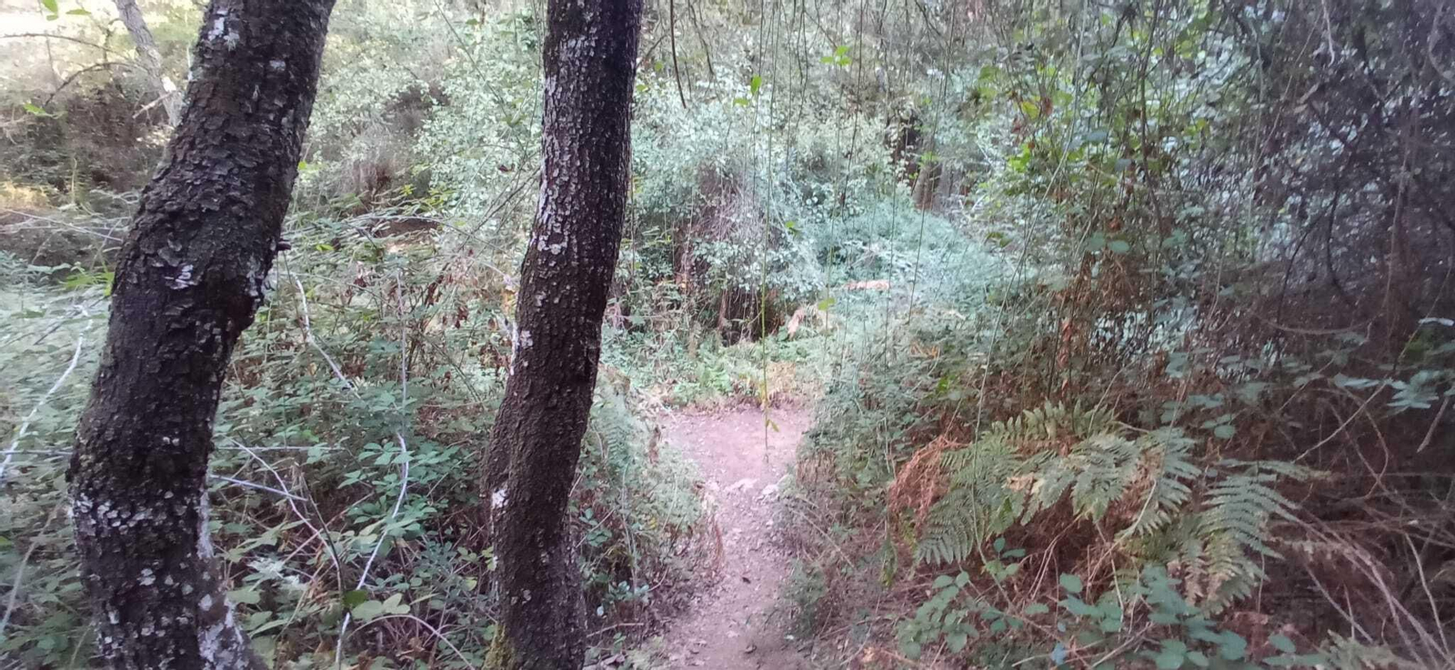 Las imágenes de la Ruta del charco malo