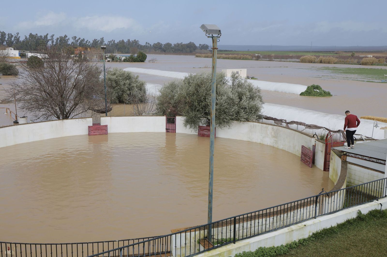 El agua ha anegado por completo la urbanización Isla del Vicario en Écija.
