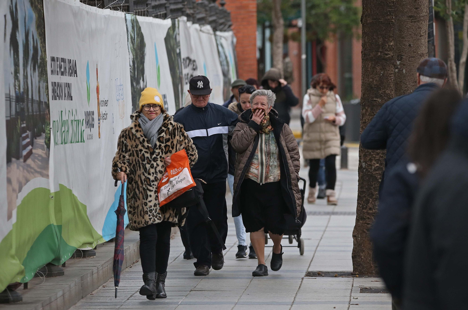 Fotos de los efectos del temporal de viento en Algeciras