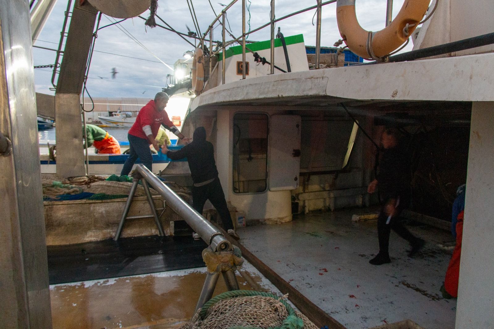 Pescadores en la lonja de Motril tras un dia de faena