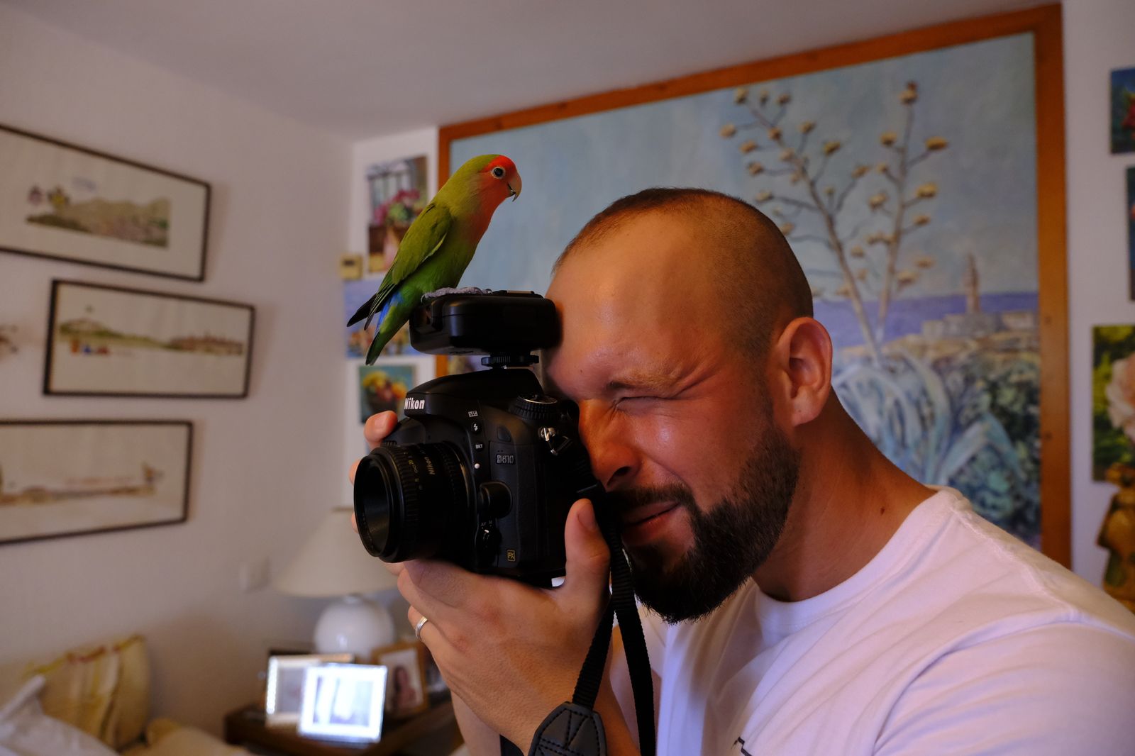 Álbum de las mascotas fotografiadas por 'El fotógrafo de mascotas'