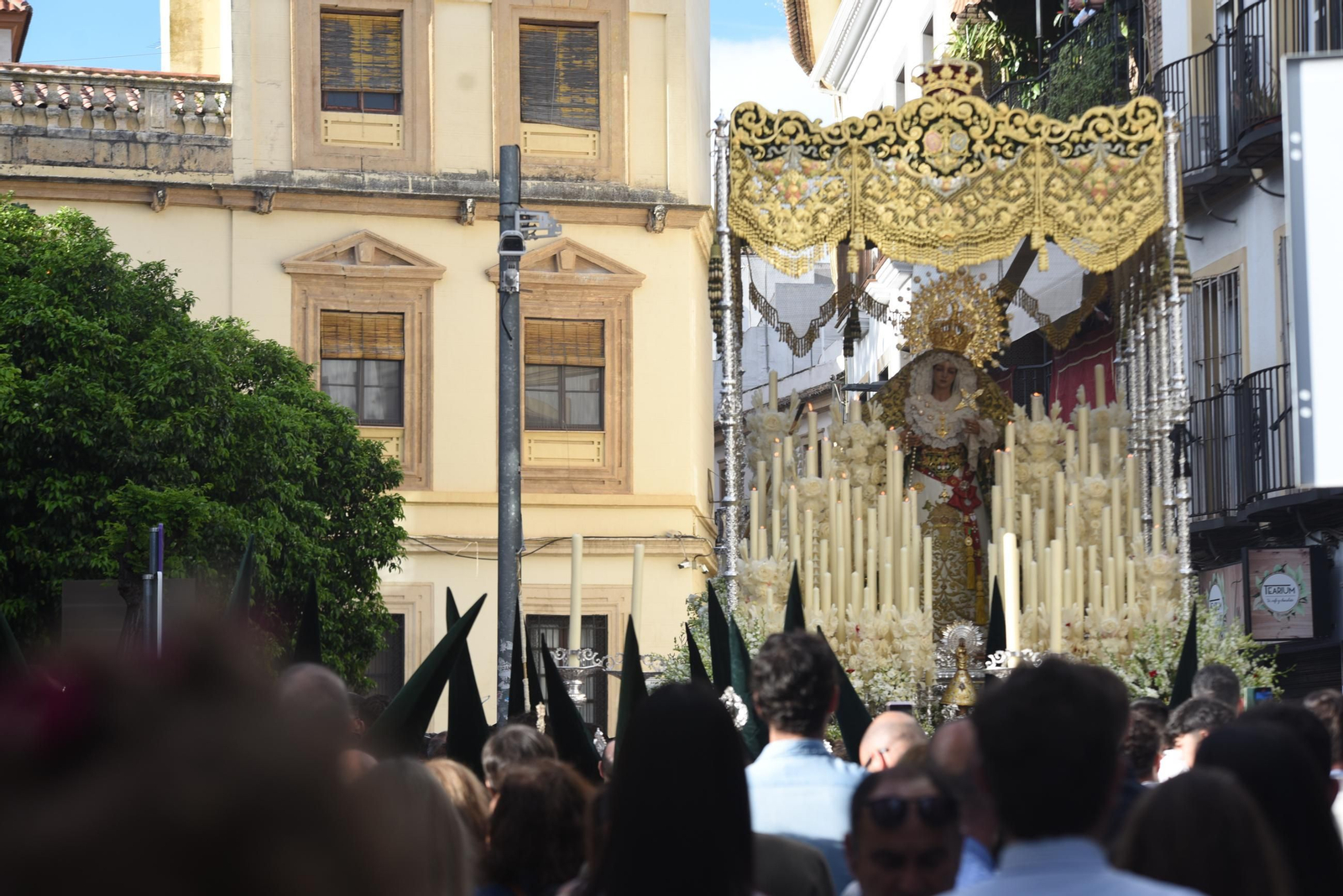 La procesión de la Esperanza en este Domingo de Ramos en Córdoba, en imágenes