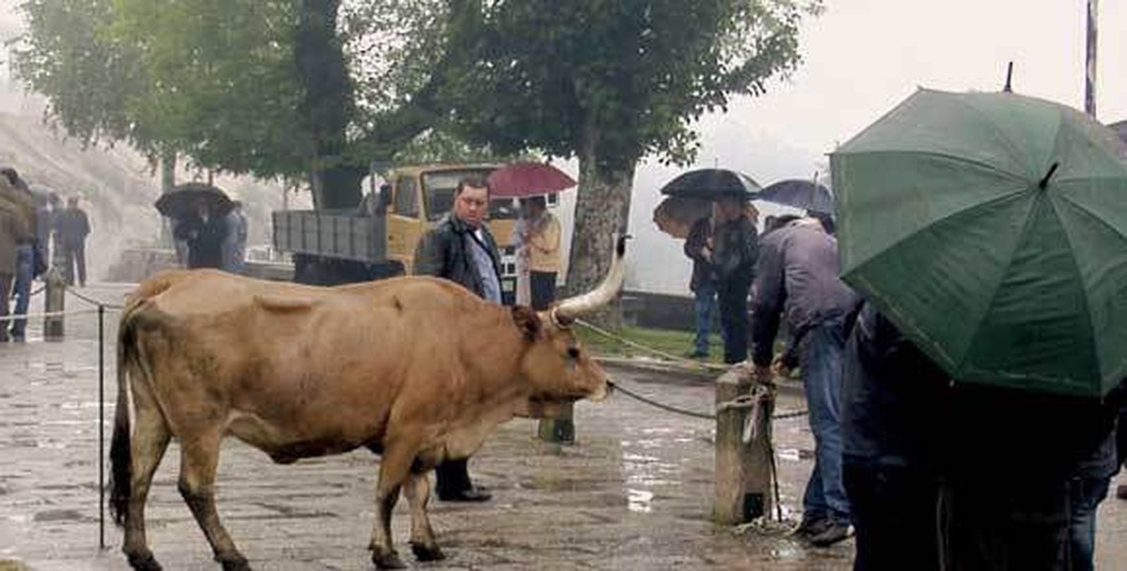 Los mejores vecinos imaginables