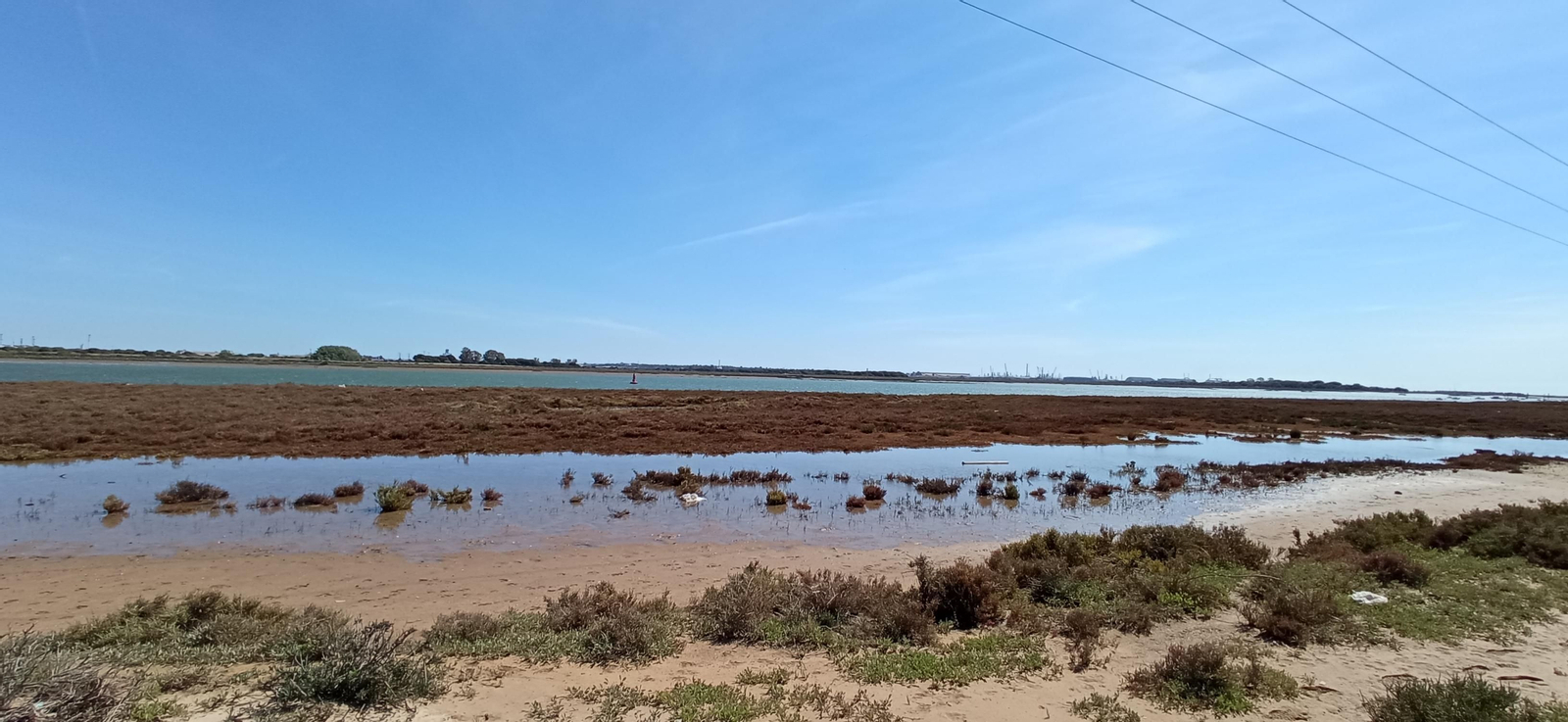Las imágenes de la ruta de las salinas del Astur y los pinares de Punta Umbría