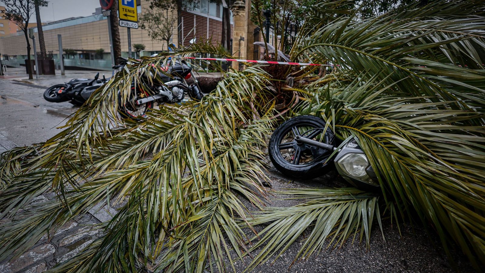 Imágenes de las incidencias y destrozos provocados por la borrasca Kristin en Cádiz