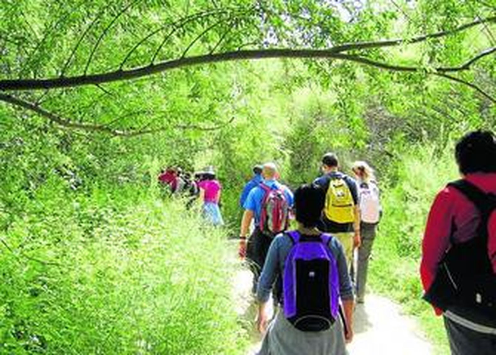 La pasarela Fuente de la Bicha