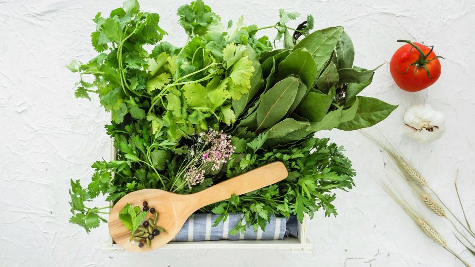 En las verduras de hoja verde, perejil y cilantro encontramos la vitamina K