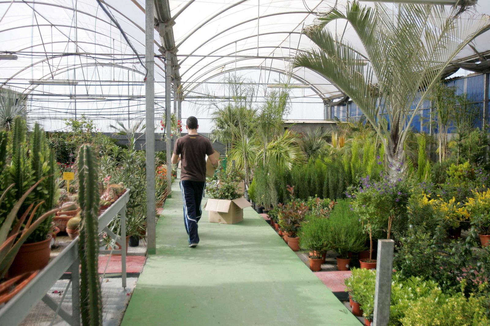 La jardinería te hace sentir igual de bien que el ejercicio