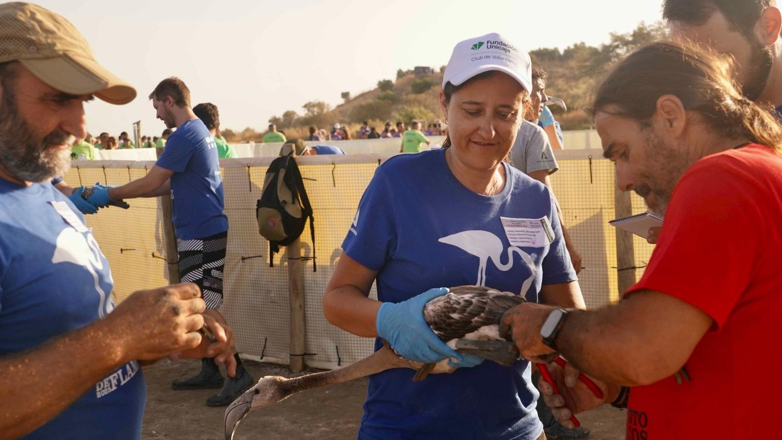 400 voluntarios participaron en el anillamiento.