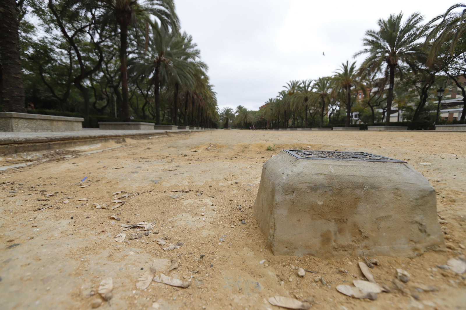 Imágenes del deterioro en la Avenida de Andalucía