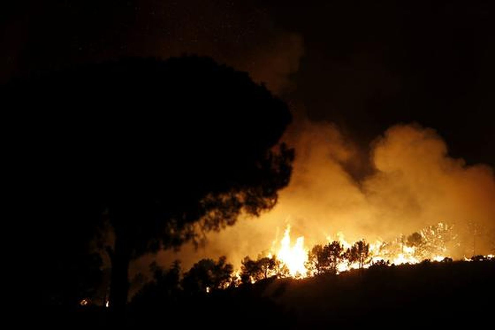 Imágenes del incendio de la Costa del Sol

Foto: EFE/ Reuters/ Lectores