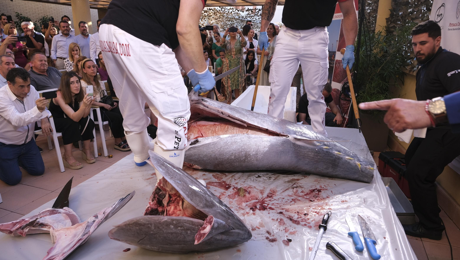 Jornadas del ronqueo del atún rojo de almadraba, en el Espacio Gastrómico Tony García.