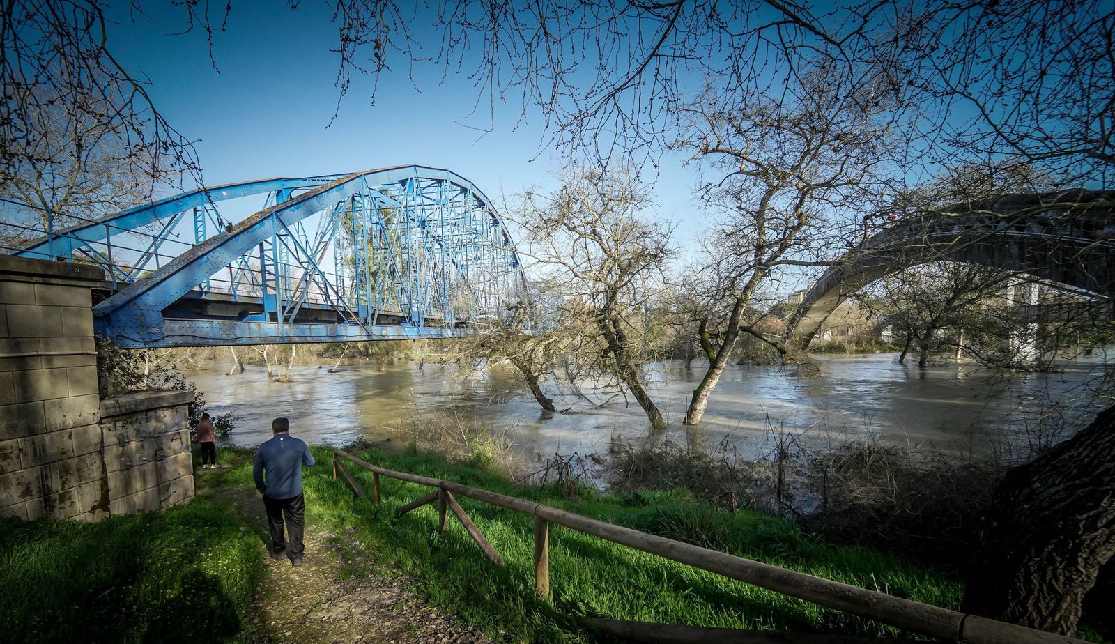 La tregua de lluvias de este fin de semana en Jerez vendrá bien al río Guadalete y la zona rural